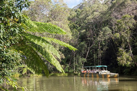 Best Of Kuranda Including Skyrail, Kuranda Scenic Railway And Rainforestation - Attractions Perth 5