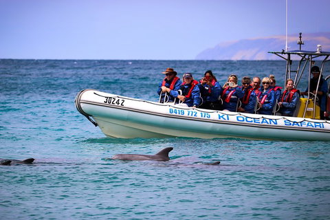 Kangaroo Island 75-Minute Ocean Safari - Attractions Perth 4
