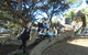 1/2 Day Swan Valley Wine Cheese & Chocolate Tour Inc Afternoon Cruise To Perth - thumb 0