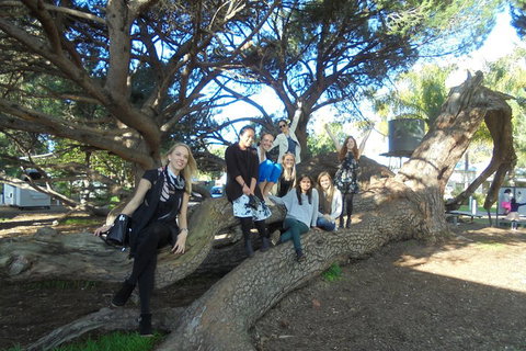 1/2 Day Swan Valley Wine Cheese & Chocolate Tour Inc Afternoon Cruise To Perth - Attractions Perth 0