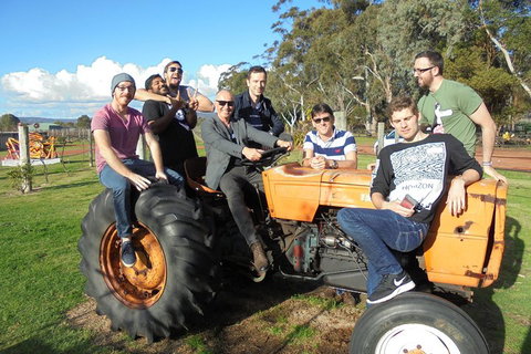 1/2 Day Swan Valley Wine Cheese & Chocolate Tour Inc Afternoon Cruise To Perth - Attractions Perth 1