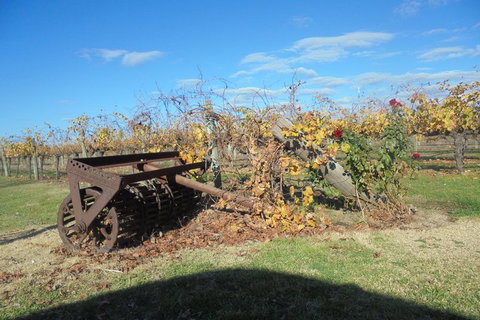 Swan Valley Tour From Perth: Wine, Beer And Chocolate Tastings - Attractions Perth 3