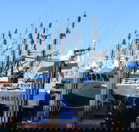 One Day Port Lincoln Tour - Tasting Eyre - Attractions Perth