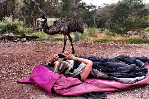6 Day Esperance & Margaret River Adventure Tour - Attractions Perth 5