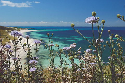 Rottnest Island Full-Day Trip With Guided Island Tour From Perth - Attractions Perth 2