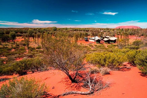 Overnight Uluru (Ayers Rock) Small-Group Camping Tour - Attractions Perth 2