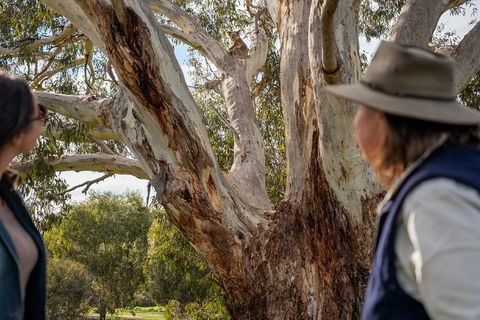 NEW TOUR - Kangaroo Island Road To Recovery Tour (1 Day/1 Night) - Attractions Perth 0
