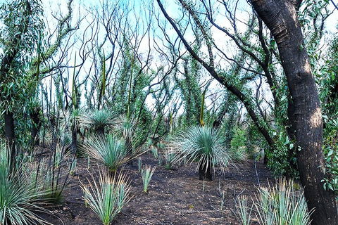 NEW TOUR - Kangaroo Island Road To Recovery Tour (1 Day/1 Night) - Attractions Perth 3