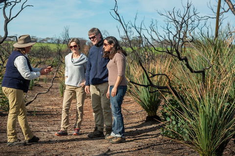 NEW TOUR - Kangaroo Island Road To Recovery Tour (1 Day/1 Night) - Attractions Perth 4