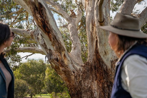 Full Day Flinders Chase Tour From Kangaroo Island - Attractions Perth 5