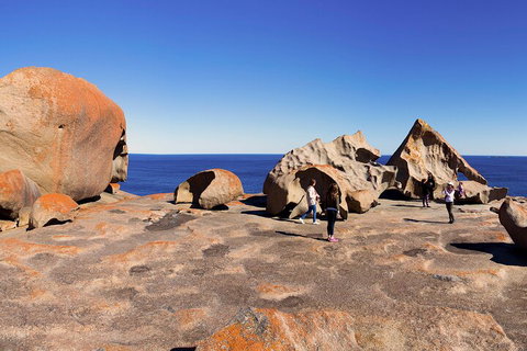 Full-Day Kangaroo Island Experience Departing From Kangaroo Island - Attractions Perth 4