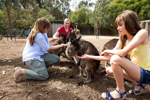 Full-Day Kangaroo Island Experience Departing From Kangaroo Island - Attractions Perth 5