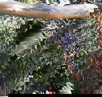 Small-Group Great Ocean Road Day Trip from Melbourne - Attractions Perth