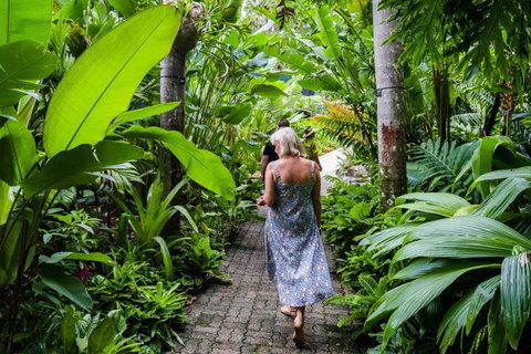 Cairns City Sights And Surrounds Tour - Attractions Perth 2