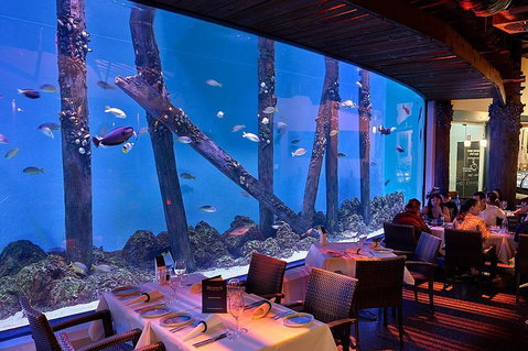 Cairns Aquarium And Small Group City Sightseeing Tour - Attractions Perth 4