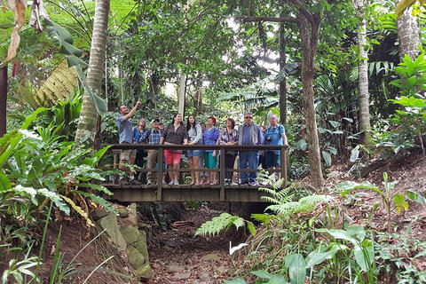 Cairns Shore Excursion: Cairns City Sights & Surrounds Tour - Attractions Perth 1