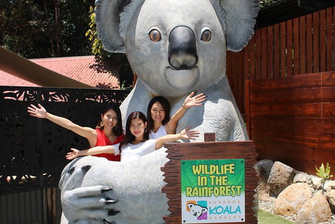 Kuranda Koala Gardens And Birdworld Admission Tickets - Attractions Perth 3