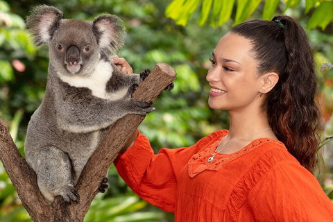 Kuranda Wildlife Experience Three Attraction Pass - Attractions Perth 4
