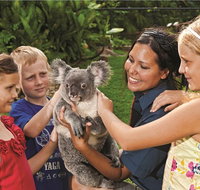 Kuranda Koala Gardens General Entry Ticket - Attractions Perth