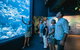 Cairns Aquarium By Twilight With 3-Course Dinner - thumb 1