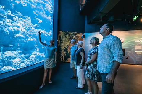 Cairns Aquarium By Twilight With 3-Course Dinner - Attractions Perth 1