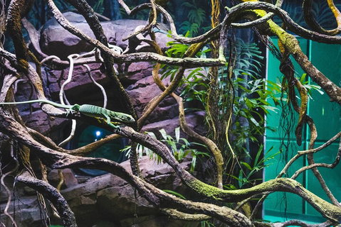 Cairns Aquarium By Twilight With 3-Course Dinner - Attractions Perth 2