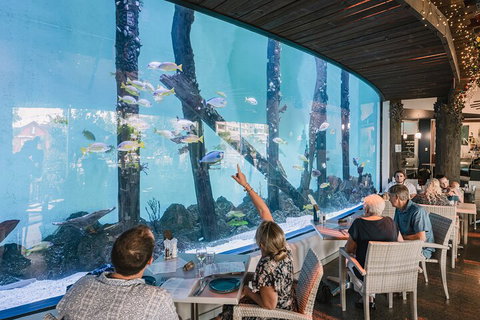 Cairns Aquarium By Twilight With 3-Course Dinner - Attractions Perth 4