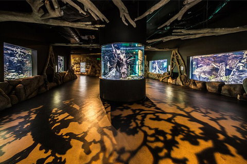 Cairns Aquarium Tour By Twilight With Drink And Appetiser - Attractions Perth 1
