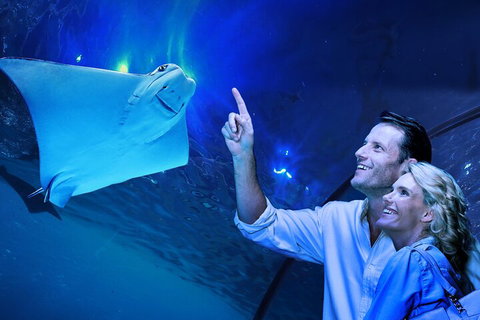 Cairns Aquarium Tour By Twilight With Drink And Appetiser - Attractions Perth 4