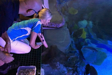 Cairns Aquarium Marine Life Encounter Ticket With 2-Course Lunch - Attractions Perth 2