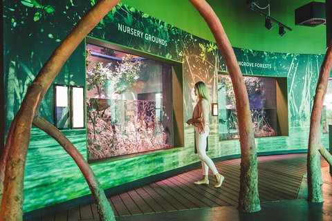 Cairns Aquarium Marine Life Encounter Ticket With 2-Course Lunch - Attractions Perth 3