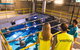 Cairns Aquarium Marine Life Encounter Ticket With 2-Course Lunch - thumb 5