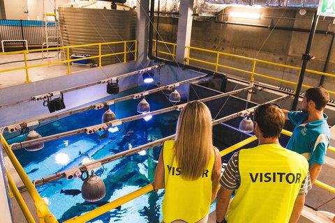 Cairns Aquarium Marine Life Encounter Ticket With 2-Course Lunch - Attractions Perth 5