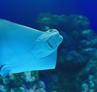 Cairns Aquarium Family Ticket - Attractions Perth