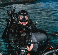 Cairns Aquarium Dive with the Sharks - Attractions Perth