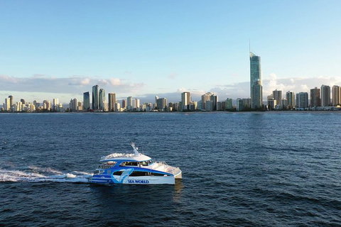 Whale Watching By Sea World Cruises - Attractions Perth 1