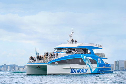 Whale Watching By Sea World Cruises - Attractions Perth 3