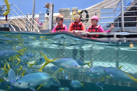 Outer Reef Pontoon Experience From Cairns - Attractions Perth 0