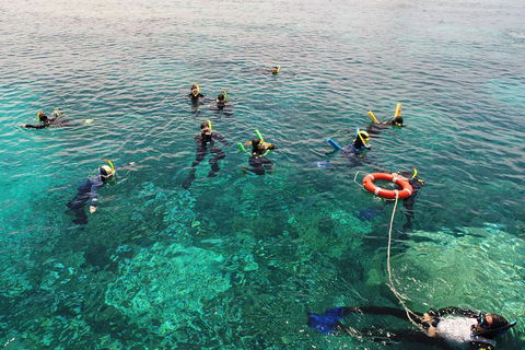 Seastar Luxury Outer Great Barrier Reef Island And Reef Tour From Cairns - Attractions Perth 2