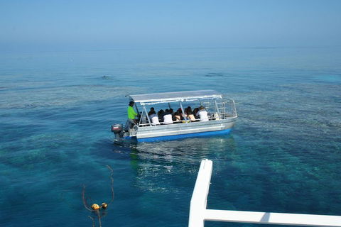 Seastar Luxury Outer Great Barrier Reef Island And Reef Tour From Cairns - Attractions Perth 5