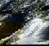 Cradle Mountain Day Tour from Launceston Including Lunch - Attractions Perth