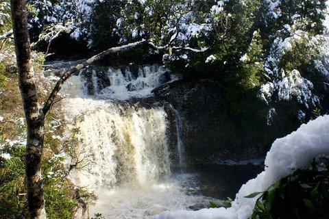 Cradle Mountain Day Tour From Launceston Including Lunch - Attractions Perth 0