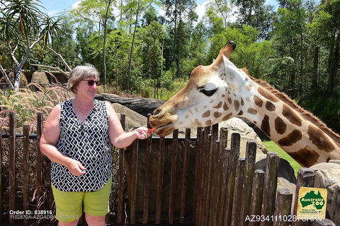 Small-Group Australia Zoo Day Trip From Brisbane - Attractions Perth 2