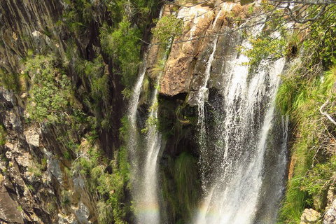 Beyond Byron Hinterland Tour - Attractions Perth 5
