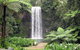 Private Daintree And Cape Tribulation Tour From Port Douglas - thumb 0