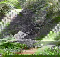 Private Daintree and Cape Tribulation Tour from Port Douglas - Attractions Perth