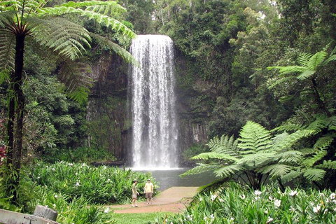 Private Daintree And Cape Tribulation Tour From Port Douglas - Attractions Perth 0