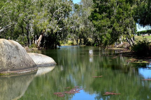 Private Daintree And Cape Tribulation Tour From Port Douglas - Attractions Perth 3