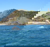 Kayaking with Dolphins in Byron Bay Guided Tour - Attractions Perth