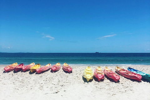 Kayaking With Dolphins In Byron Bay Guided Tour - Attractions Perth 1